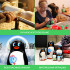Wooden Nesting Dolls Penguin Set