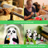 Handcrafted Panda Nesting Dolls