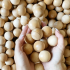 30mm Wooden Round Ball, Bag of 50 Unfinished Natural Round Hardwood Balls