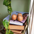 18 Pieces Unfinished Round Wood, Natural Wooden Balls (35mm)