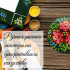 Ogovo Set – Hand-Painted Picture Frame and Jewelry Box in Traditional Belarusian Folk Art Style