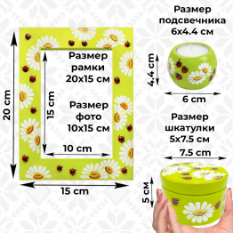 Hand-Painted Gift Set with Daisies and Ladybugs