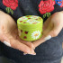 Hand-Painted Candleholder Set and Box, Natural Wood, Daisy and Ladybug Design