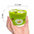 Hand-Painted Candleholder Set and Box, Natural Wood, Daisy and Ladybug Design