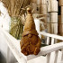 Sitting Wooden Gnome – Hand-Carved Figurine for Farmhouse Decor