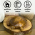 Wooden statue-souvenir of turtle for home decor, hand carving, handmade, color - brown