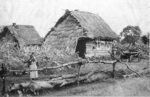 Belarusian Polesia